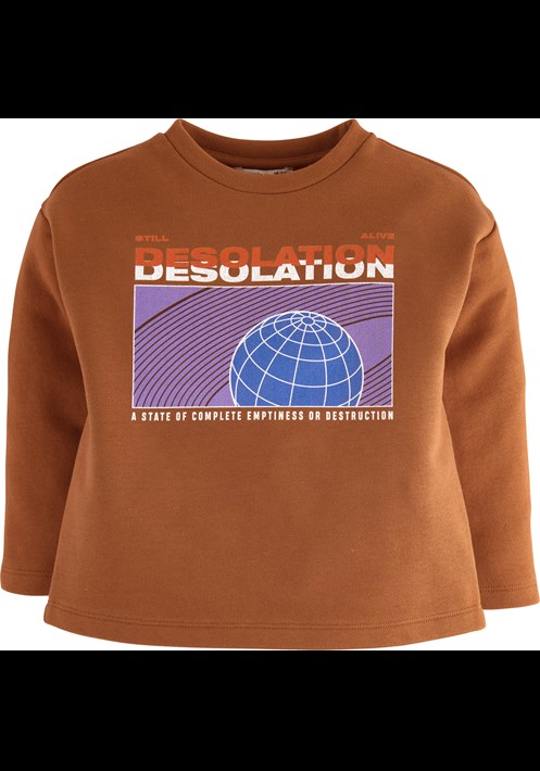 Sweatshirt 15817 2